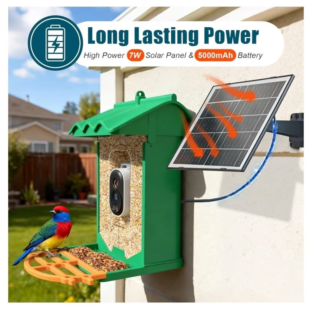 Solar Powered Smart Bird Feeder With Camera